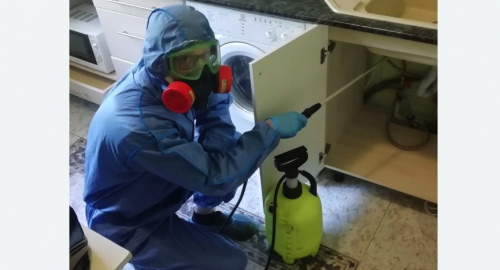 Уничтожение муравьев в квартире. Новосиль