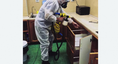 Уничтожение насекомых в квартире. Новосиль