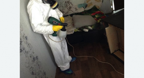 Дезинсекция помещения в Новосиле