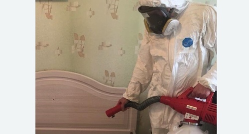 Уничтожение клещей в квартире. Новосиль