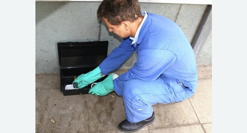 Уничтожение мышей. Новосиль