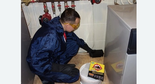 Дератизация крыс. Новосиль