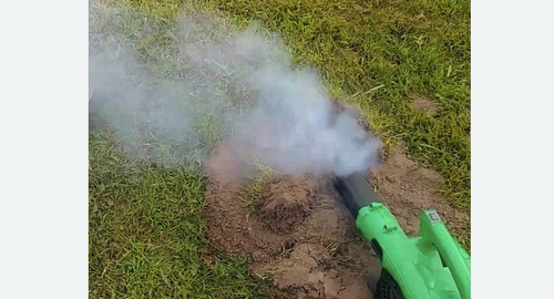 Обработка от кротов в Новосиле