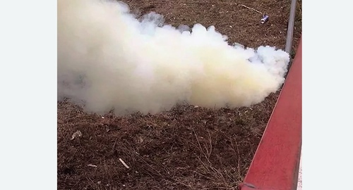 Уничтожение кротов на участке в Новосиле