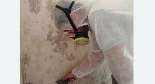 Обработка стен от плесени в Новосиле