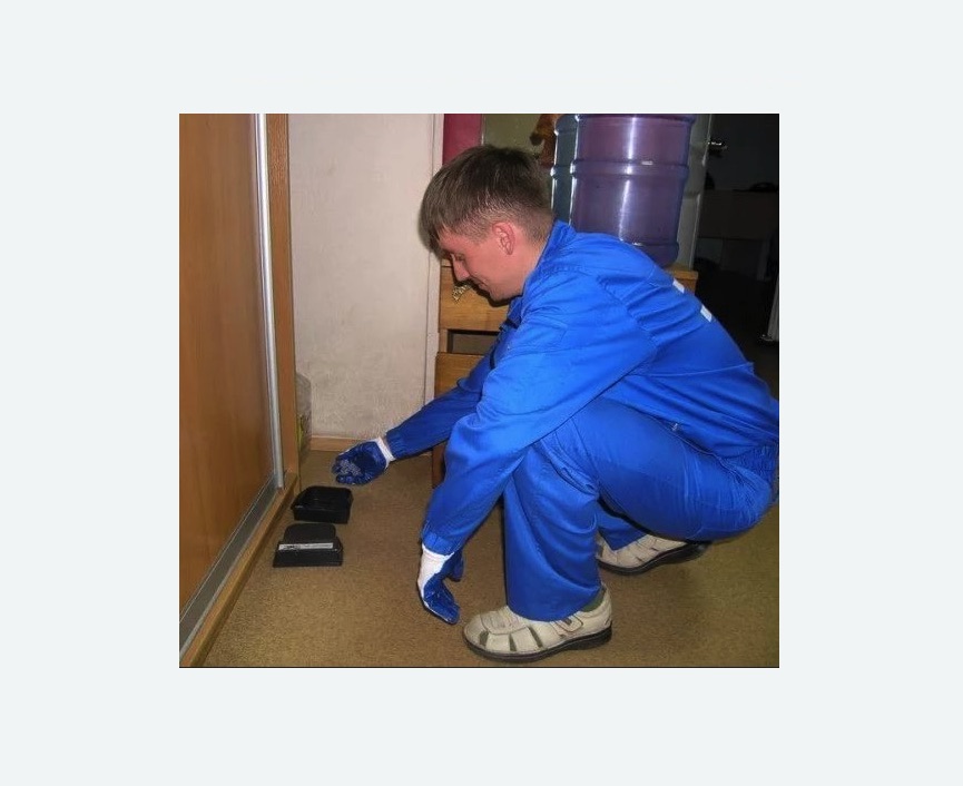 Дератизация крыс в Новосиле