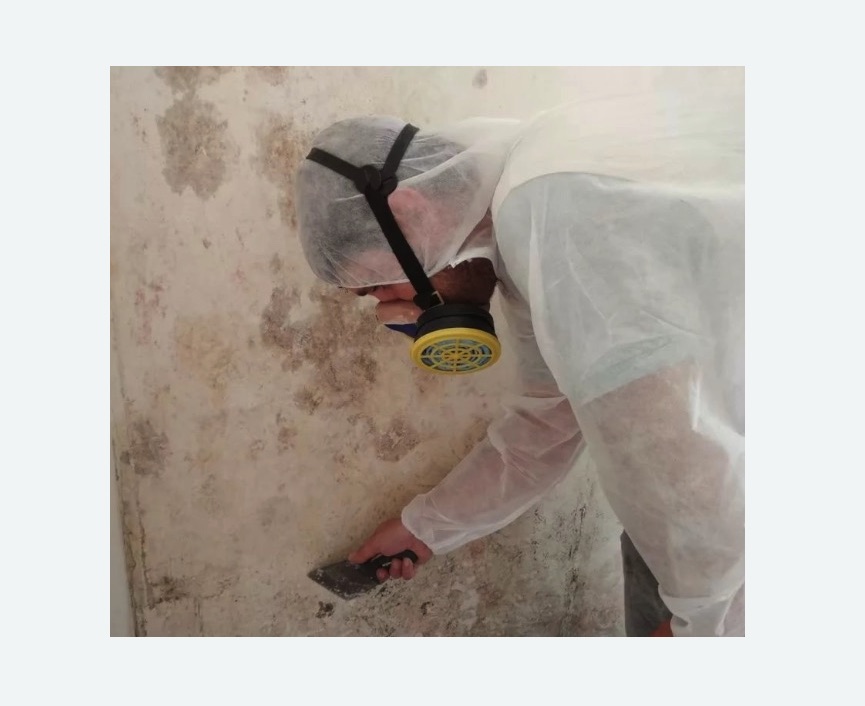 Обработка стен от плесени Обработка стен от плесени в Новосиле