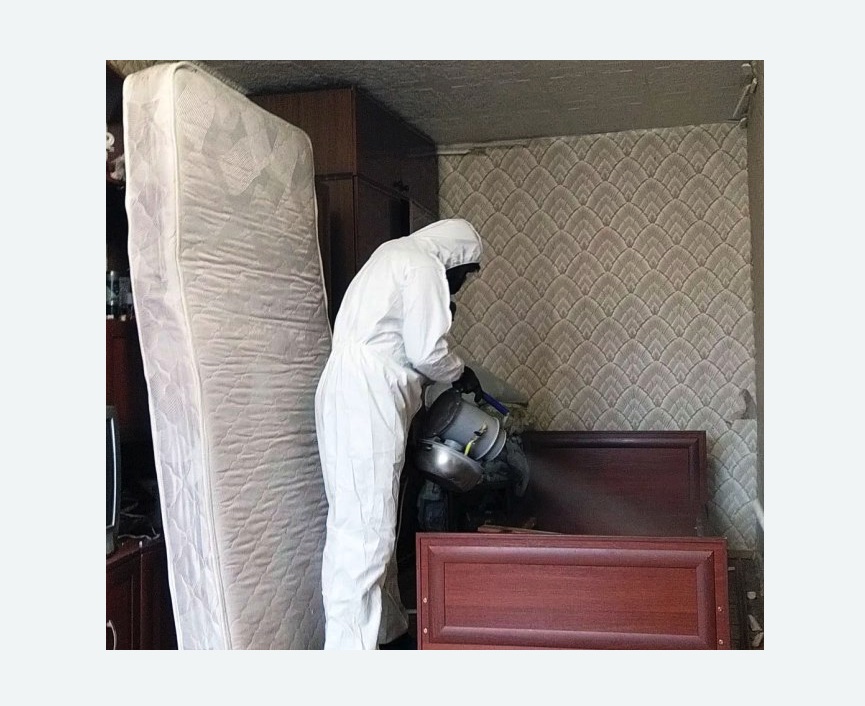 дезинфекция от клопов в Новосиле