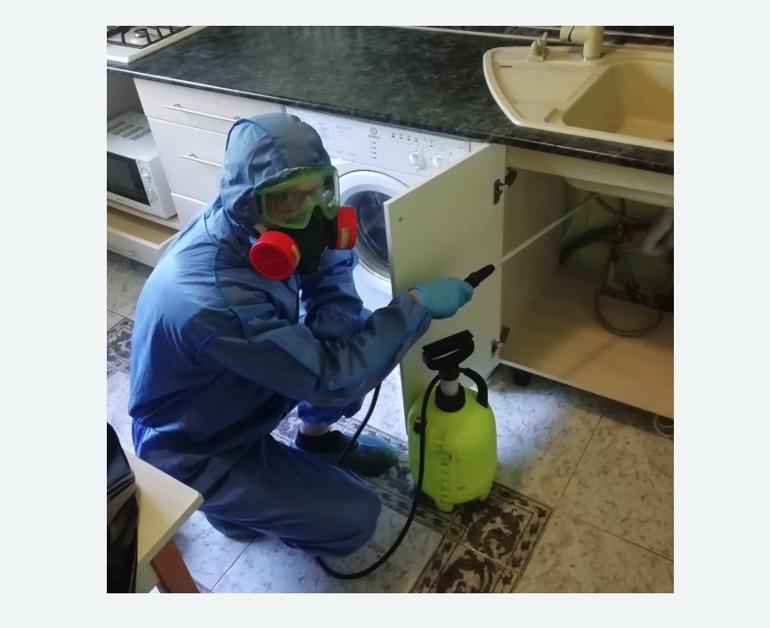 обработка от муравьев в квартире в Новосиле