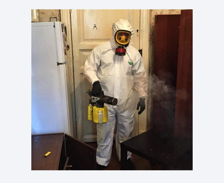 уничтожение муравьев в квартире в Новосиле